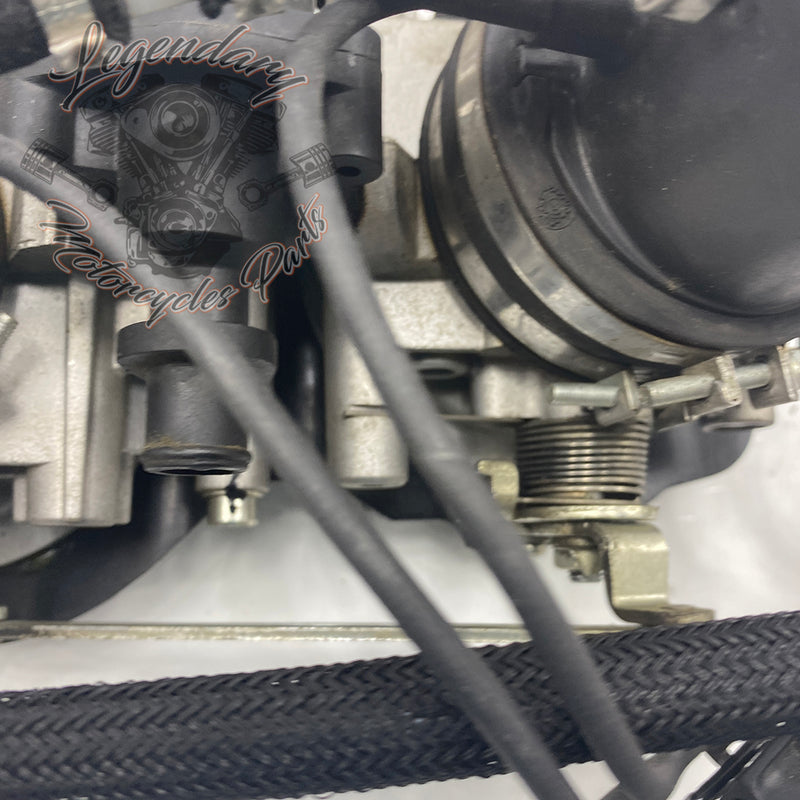 Injection Body OEM P0803A.1AM