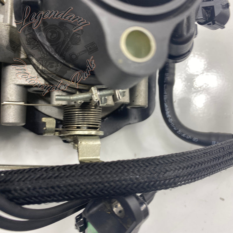 Injection Body OEM P0803A.1AM
