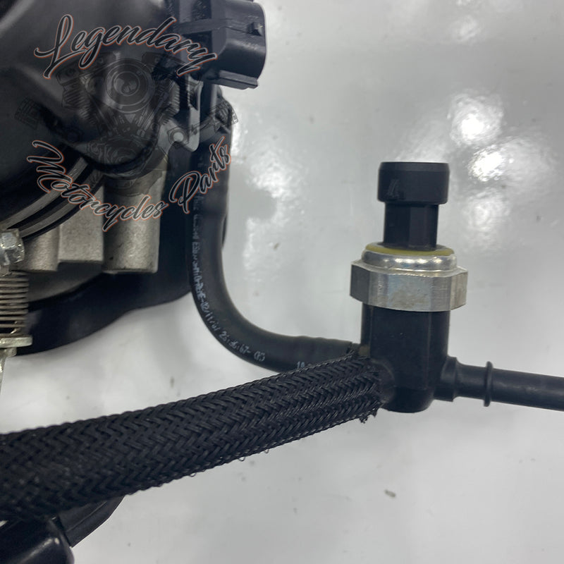 Injection Body OEM P0803A.1AM