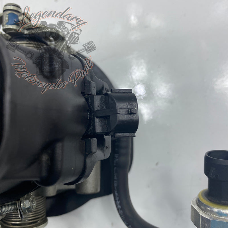 Injection Body OEM P0803A.1AM