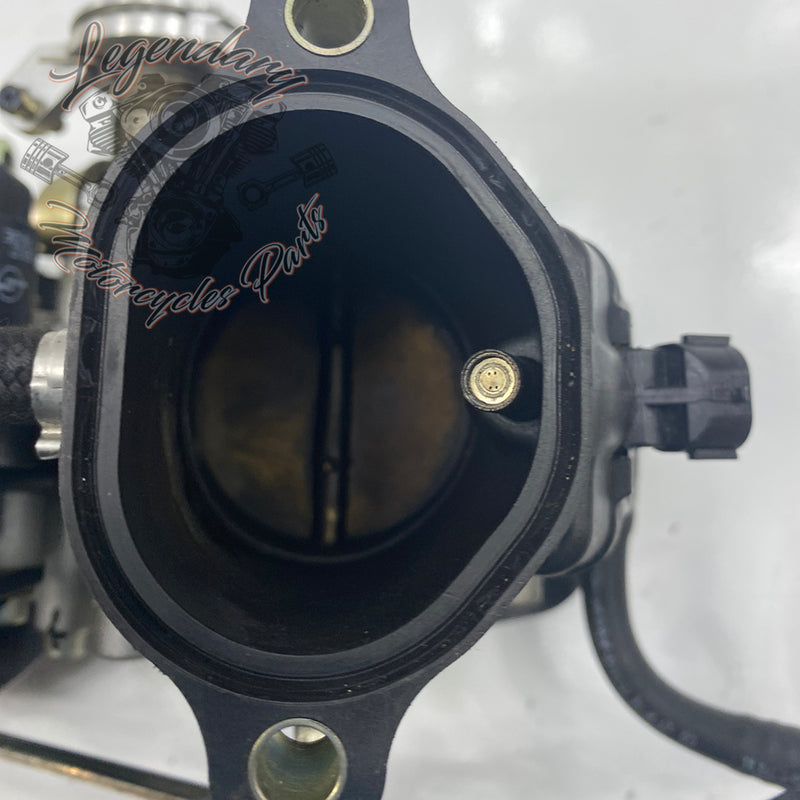 Injection Body OEM P0803A.1AM