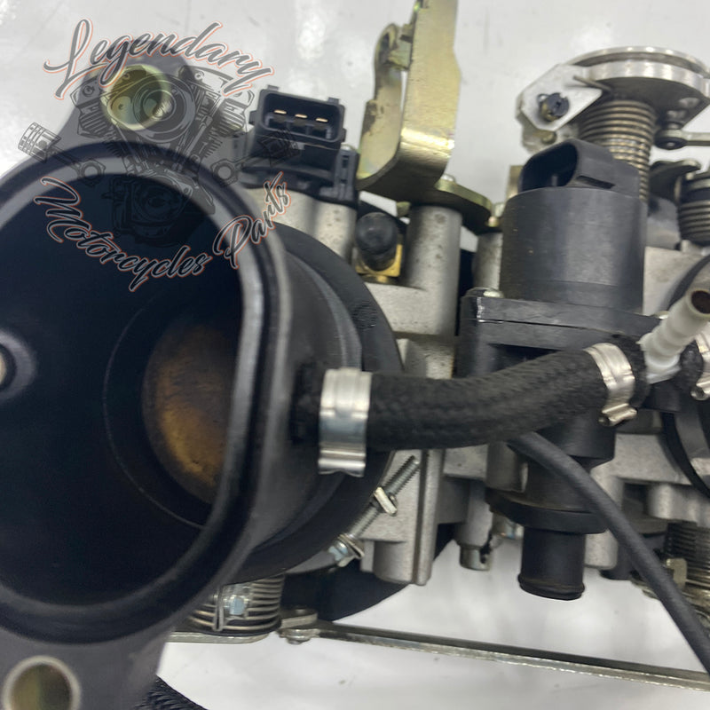 Injection Body OEM P0803A.1AM