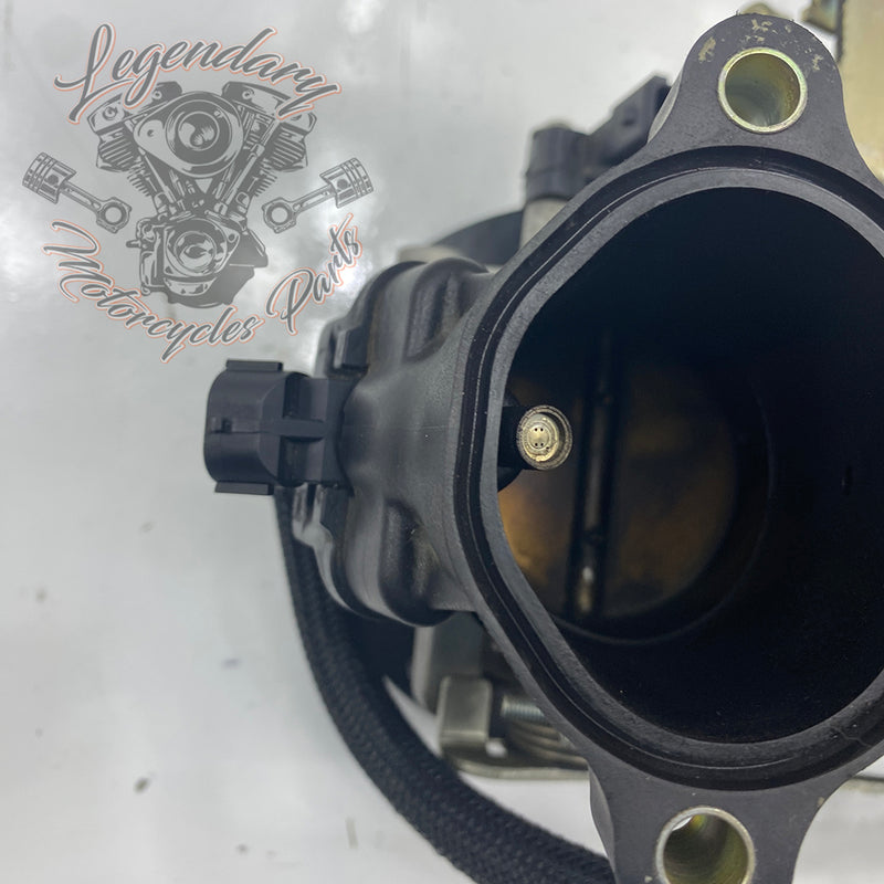 Injection Body OEM P0803A.1AM