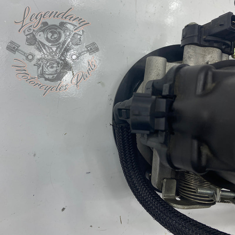 Injection Body OEM P0803A.1AM