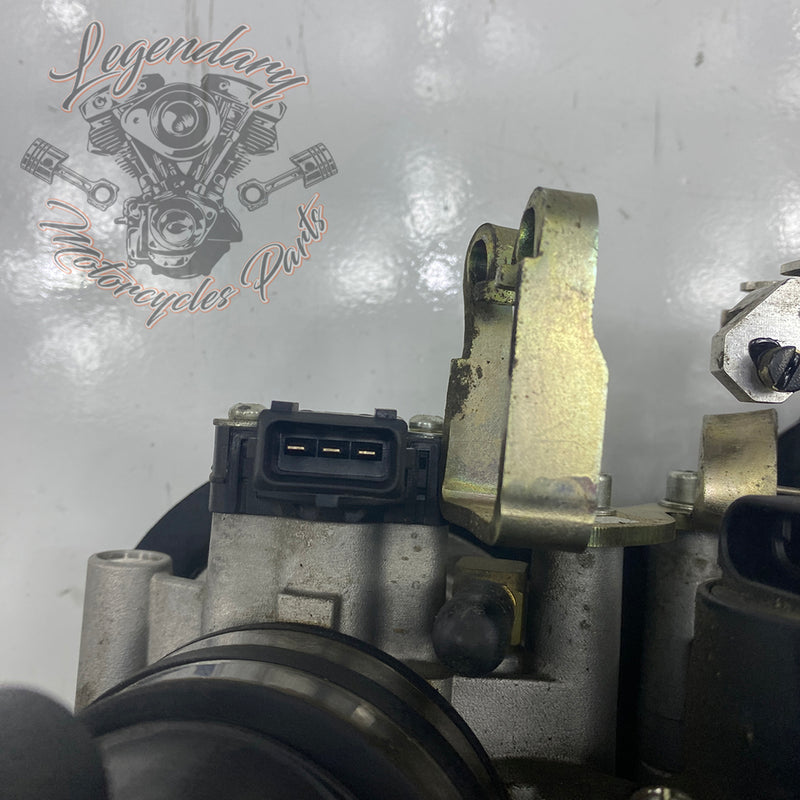 Injection Body OEM P0803A.1AM