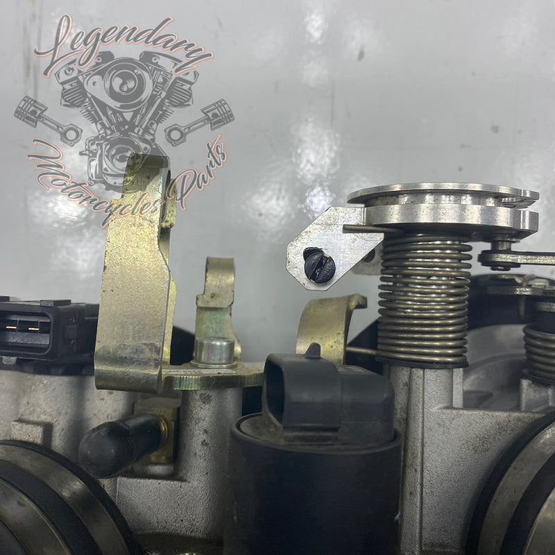 Injection Body OEM P0803A.1AM