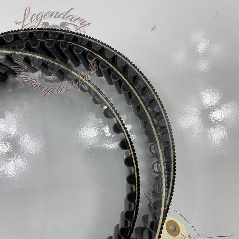 Courroie 149T OEM 40105-01