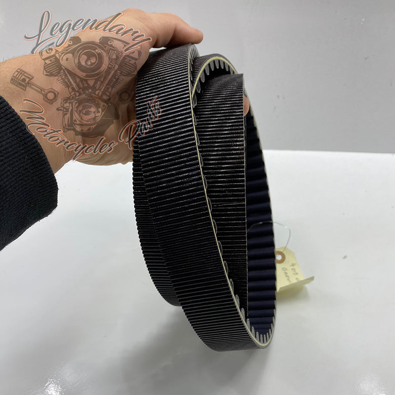 Courroie 149T OEM 40105-01