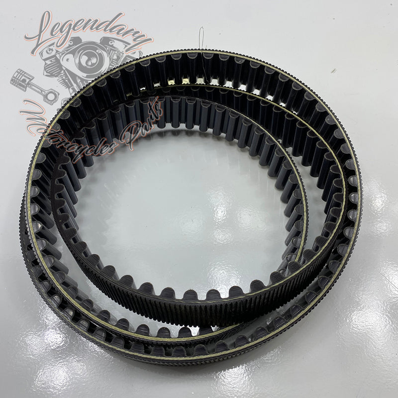 Courroie 149T OEM 40105-01