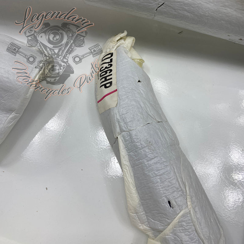Scarico Big Radius 2-1 Réf. 48003