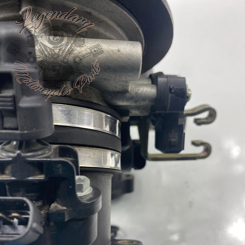 Injection Body OEM P0803A.1AM
