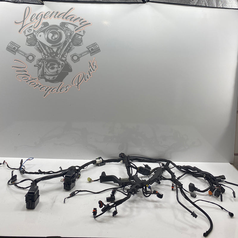 Headlight Assembly OEM Y0136.1AM