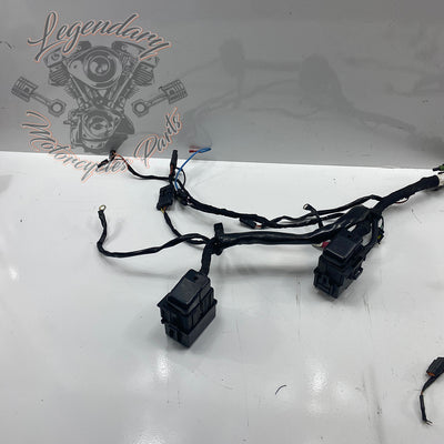 Headlight Assembly OEM Y0136.1AM