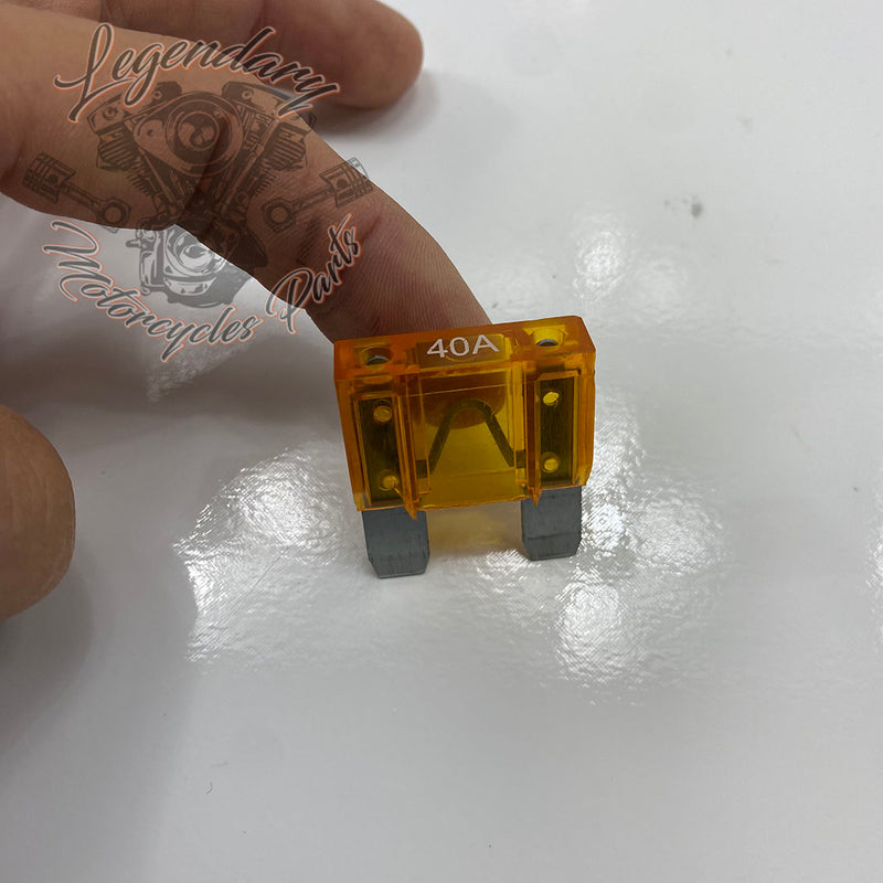Main Fuse OEM 72314-01