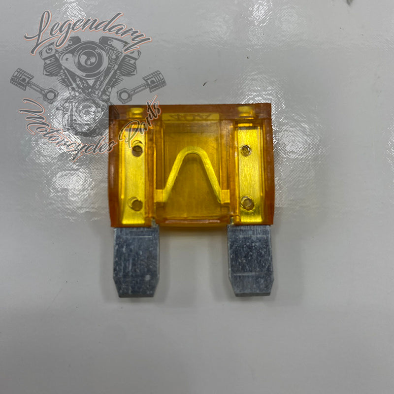 Main Fuse OEM 72314-01