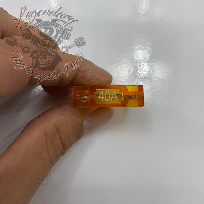 Main Fuse OEM 72314-01