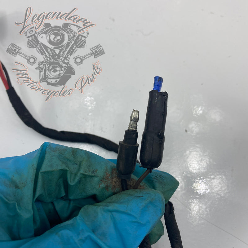 Headlight Assembly OEM Y0136.1AM