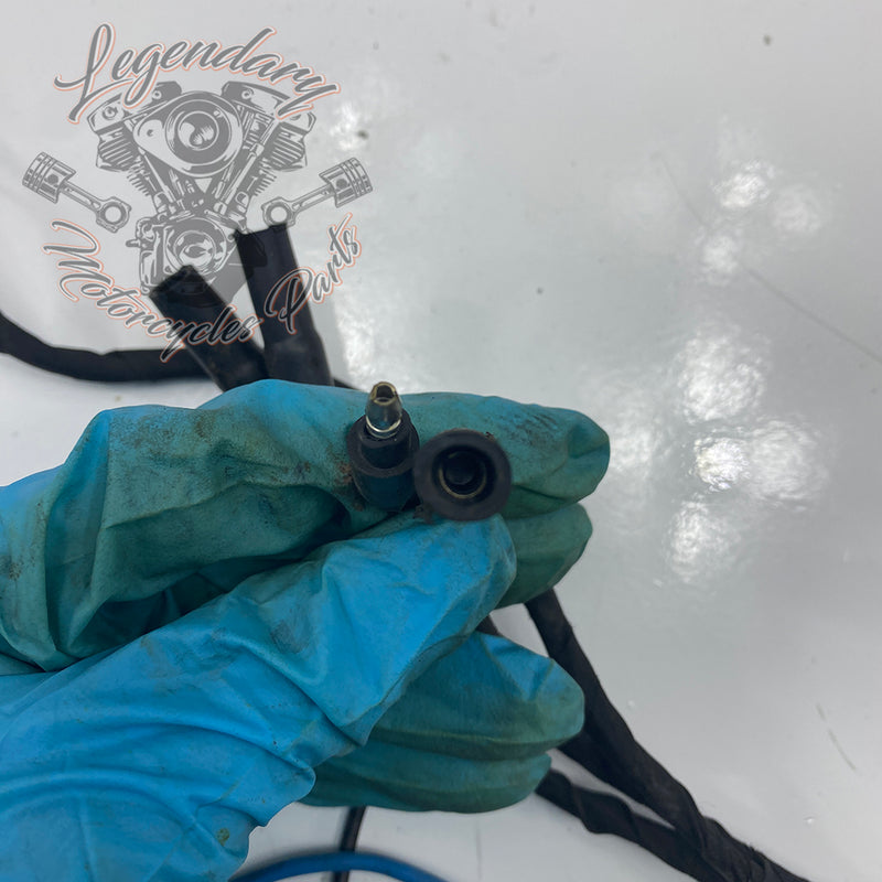 Headlight Assembly OEM Y0136.1AM