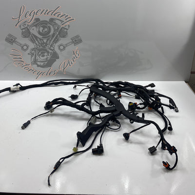 Headlight Assembly OEM Y0136.1AM