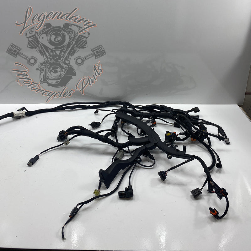 Headlight Assembly OEM Y0136.1AM