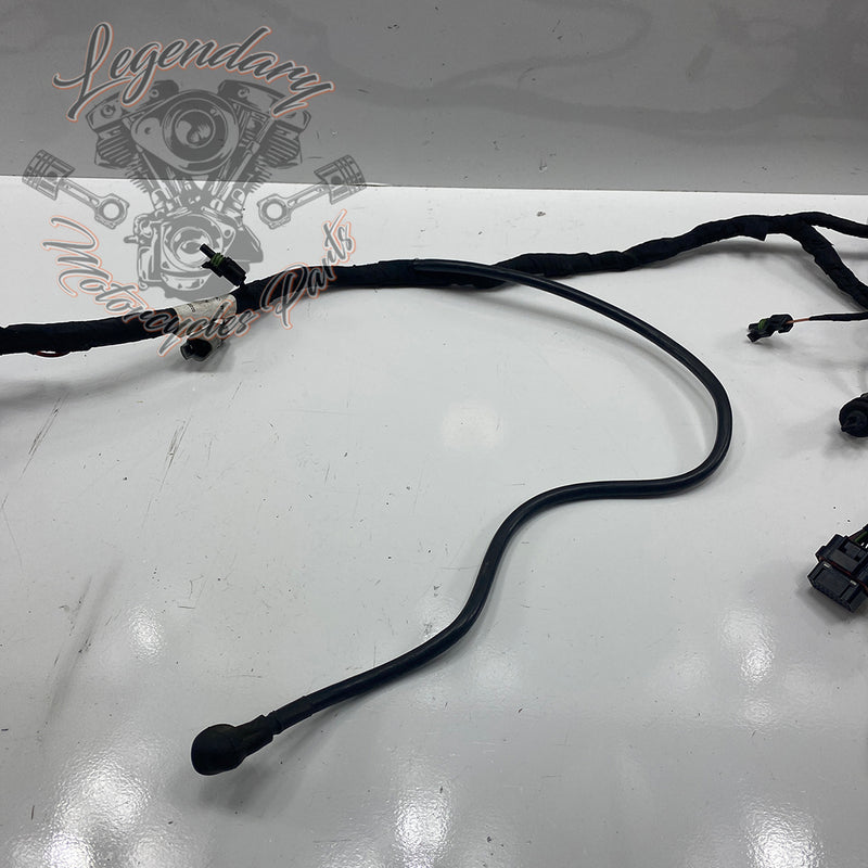 Headlight Assembly OEM Y0136.1AM