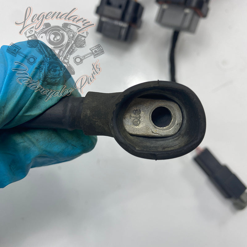 Headlight Assembly OEM Y0136.1AM