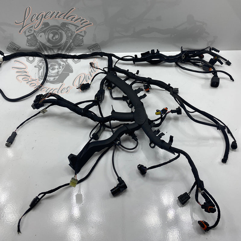 Headlight Assembly OEM Y0136.1AM