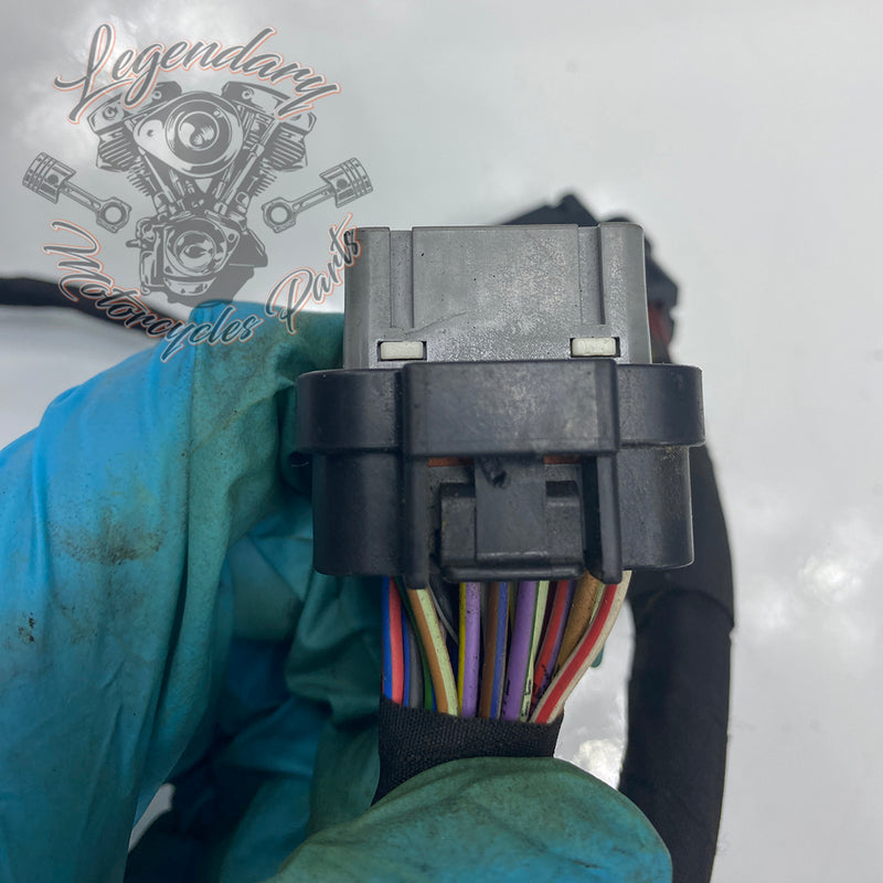 Headlight Assembly OEM Y0136.1AM