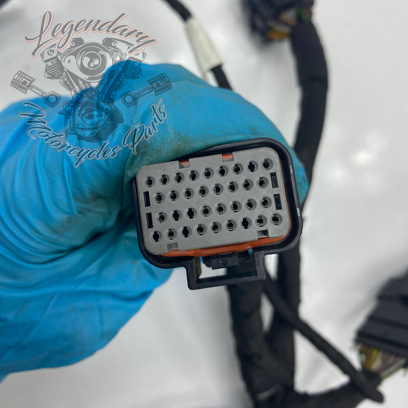 Headlight Assembly OEM Y0136.1AM