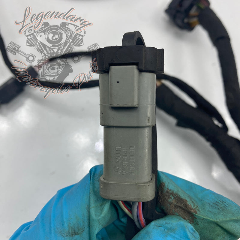 Headlight Assembly OEM Y0136.1AM