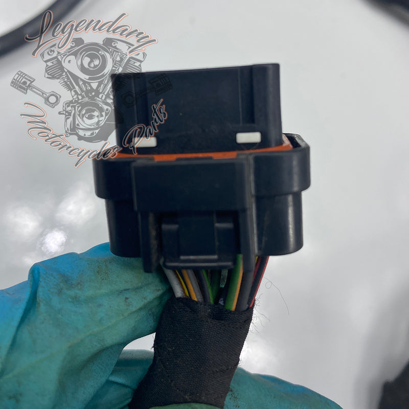 Headlight Assembly OEM Y0136.1AM