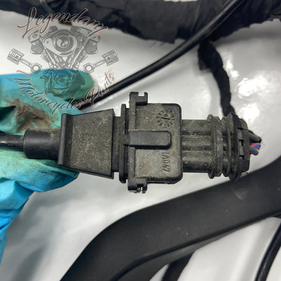 Headlight Assembly OEM Y0136.1AM