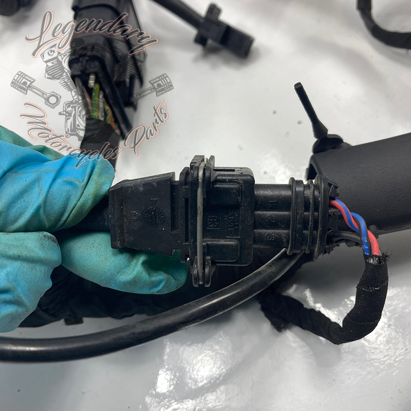 Headlight Assembly OEM Y0136.1AM