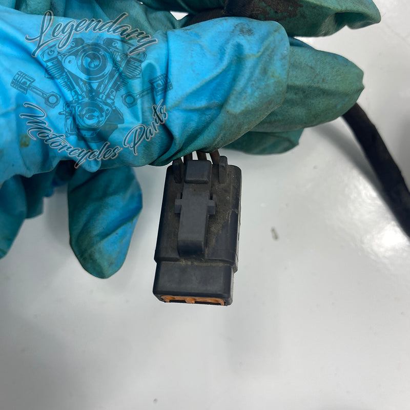 Headlight Assembly OEM Y0136.1AM