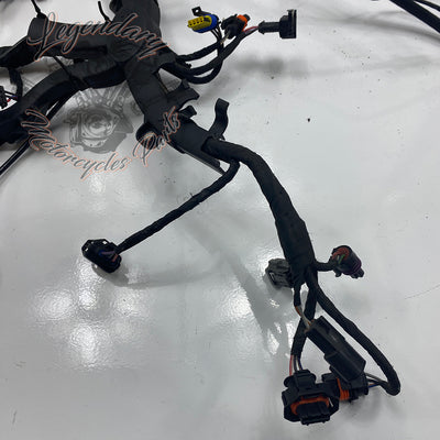 Headlight Assembly OEM Y0136.1AM