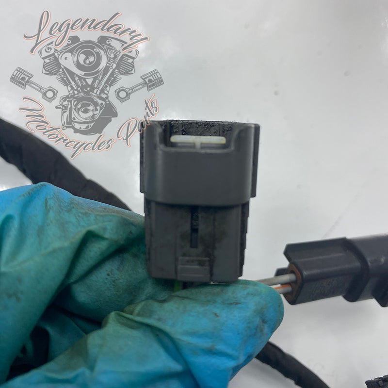 Headlight Assembly OEM Y0136.1AM