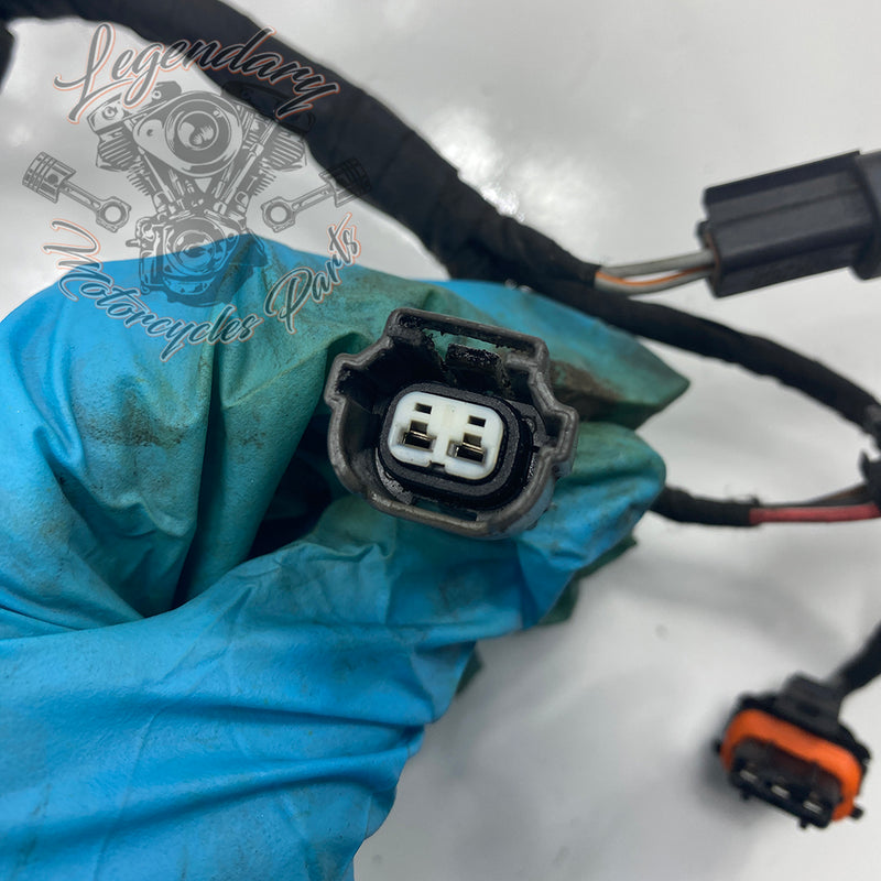 Headlight Assembly OEM Y0136.1AM