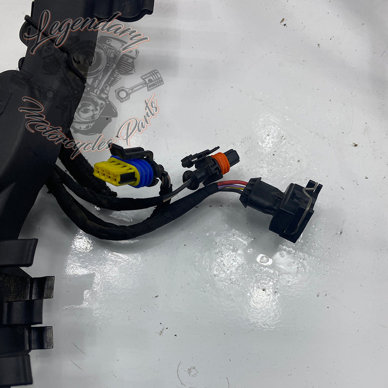 Headlight Assembly OEM Y0136.1AM
