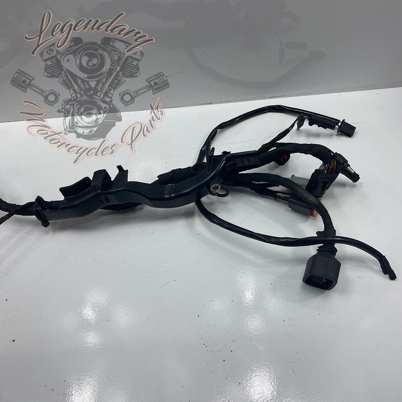 Headlight Assembly OEM Y0136.1AM