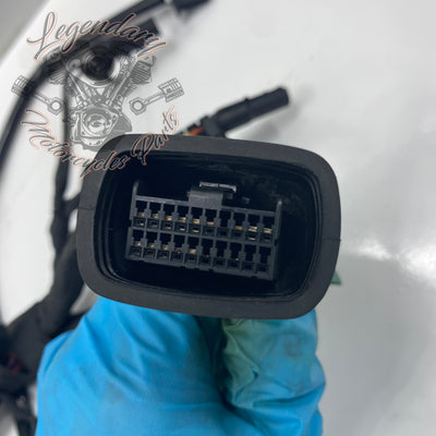 Headlight Assembly OEM Y0136.1AM