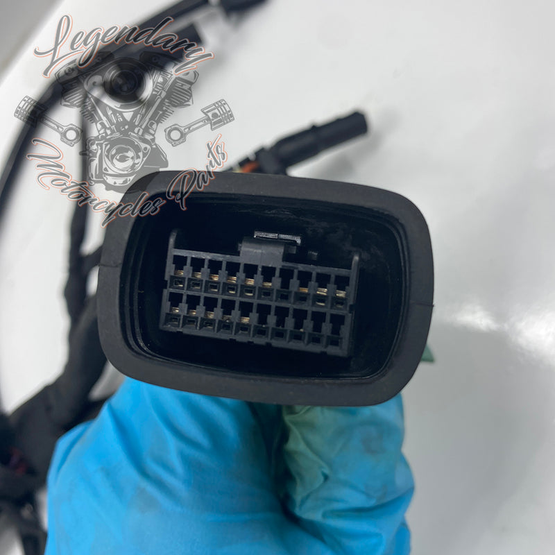 Headlight Assembly OEM Y0136.1AM