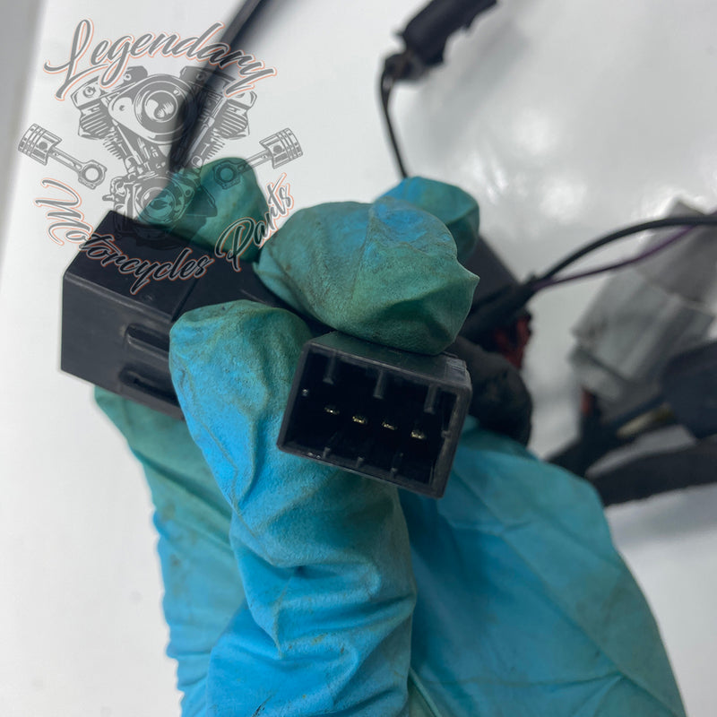 Headlight Assembly OEM Y0136.1AM