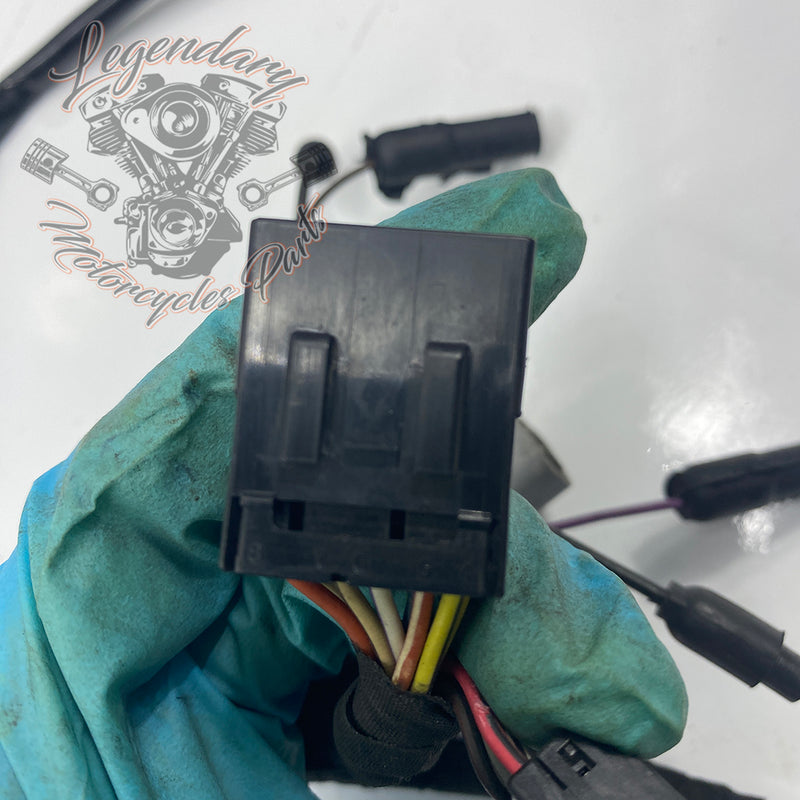 Headlight Assembly OEM Y0136.1AM
