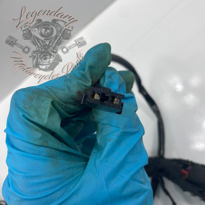 Headlight Assembly OEM Y0136.1AM