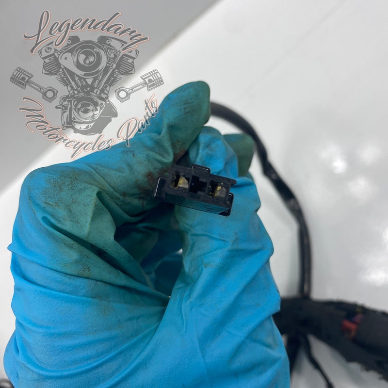 Headlight Assembly OEM Y0136.1AM