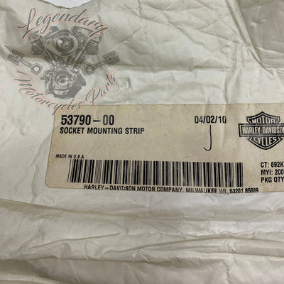 Soporte de montaje de Tour-Pak OEM 53790-00