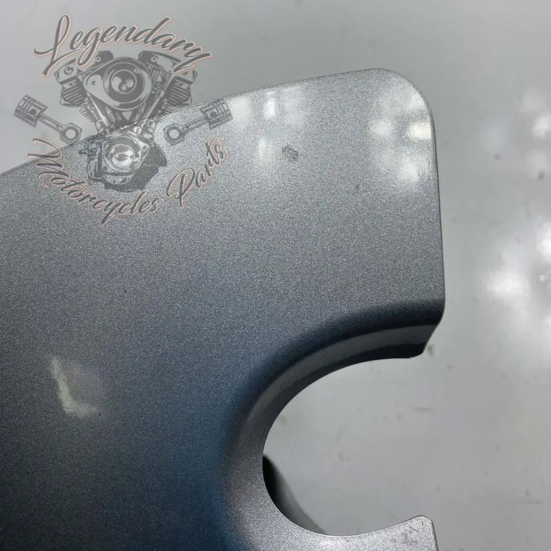 Linker unterer Verkleidungsklappen OEM 57100111