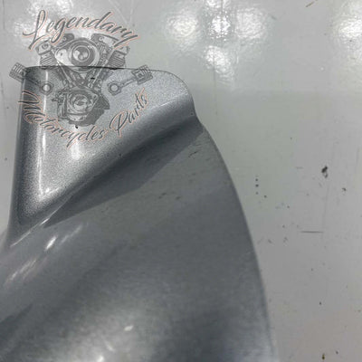 Linker unterer Verkleidungsklappen OEM 57100111
