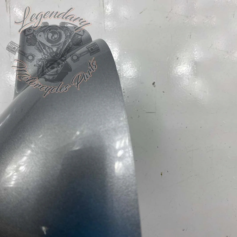 Linker unterer Verkleidungsklappen OEM 57100111