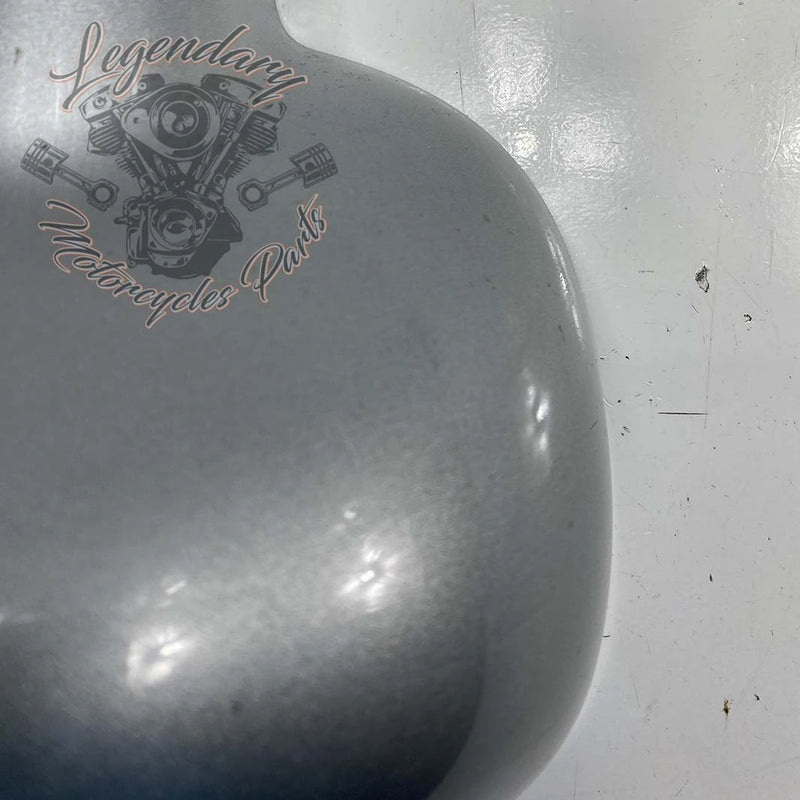 Linker unterer Verkleidungsklappen OEM 57100111